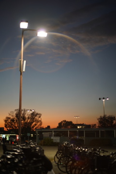 連休最終日'25.11.24-4