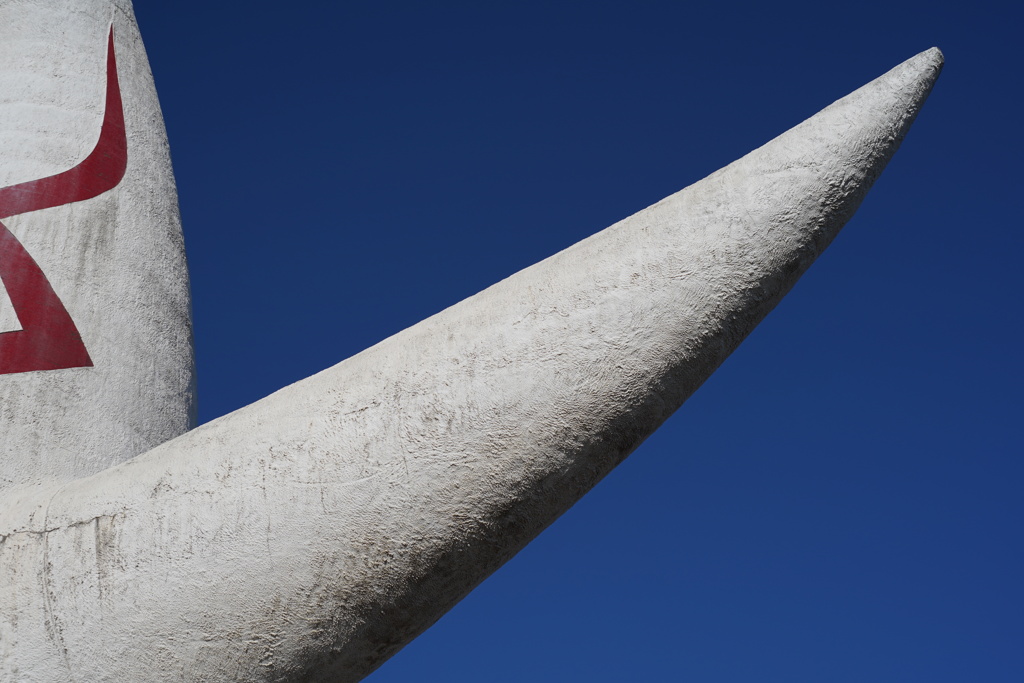 万博記念公園'26.01.04-3