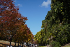 万博記念公園'25.11.15-1