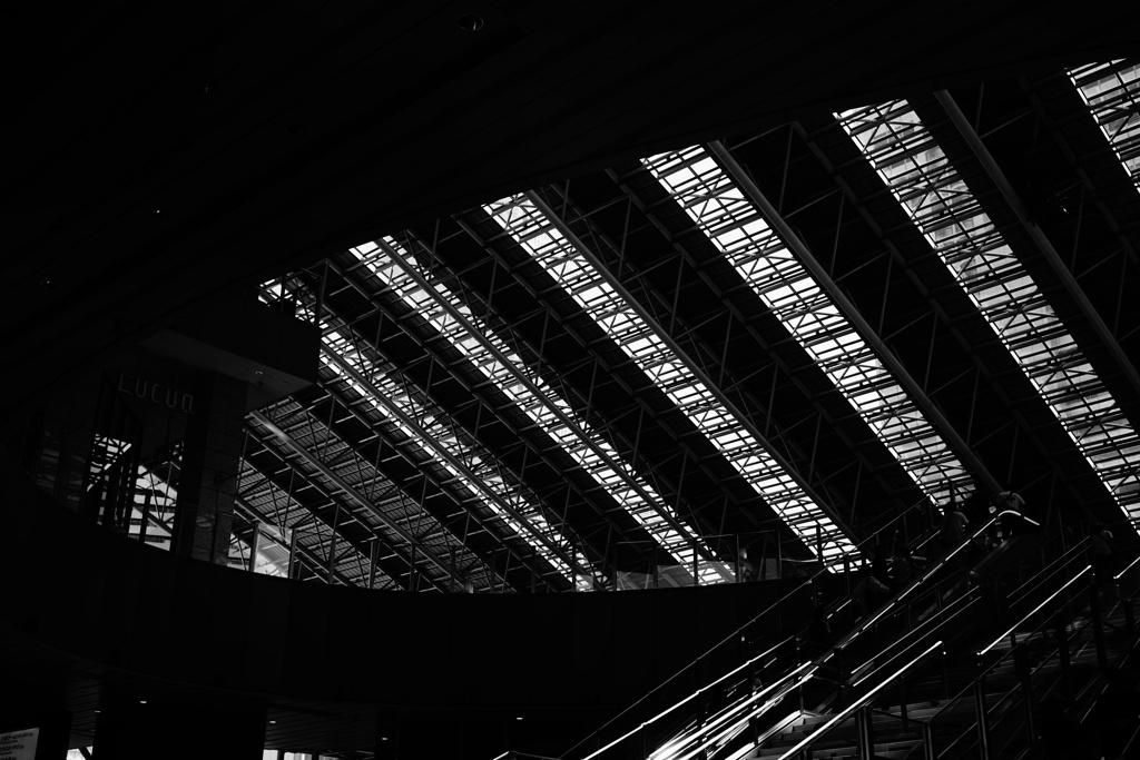 Osaka snap 2025.09