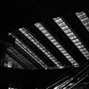 Osaka snap 2025.09