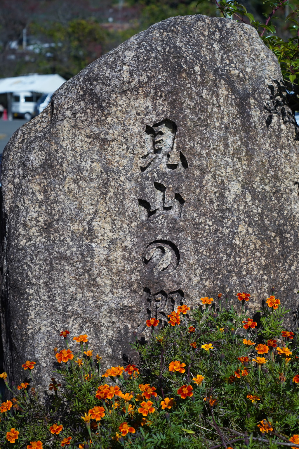 見山の郷'25.11.08-3