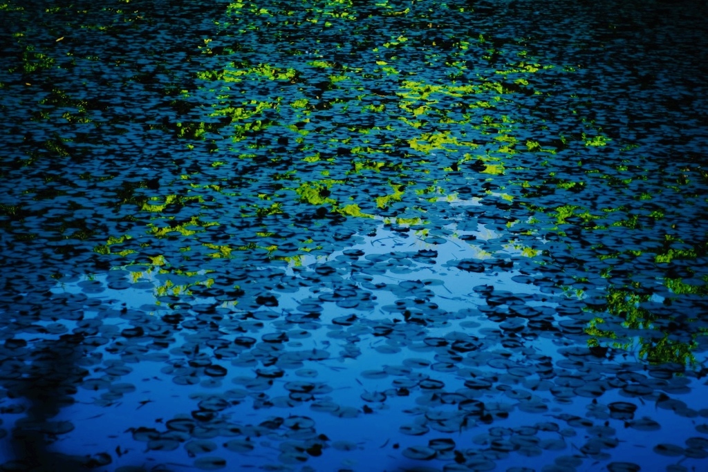 季節のバトン水面に