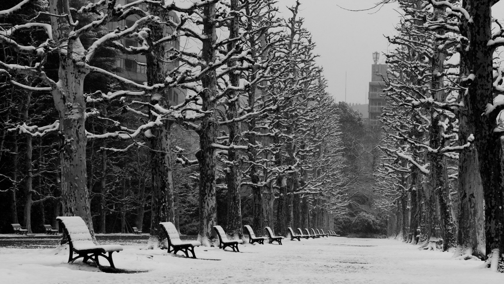 早朝、誰もいない特等席