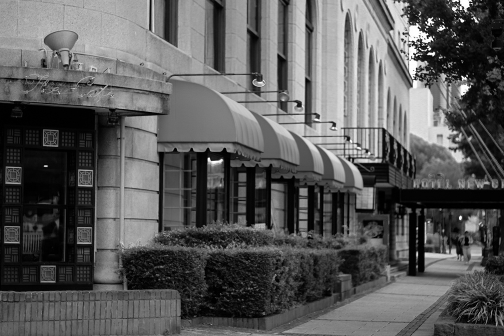 モノクローム・エントランス