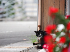盗撮してないか？