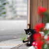 盗撮してないか？