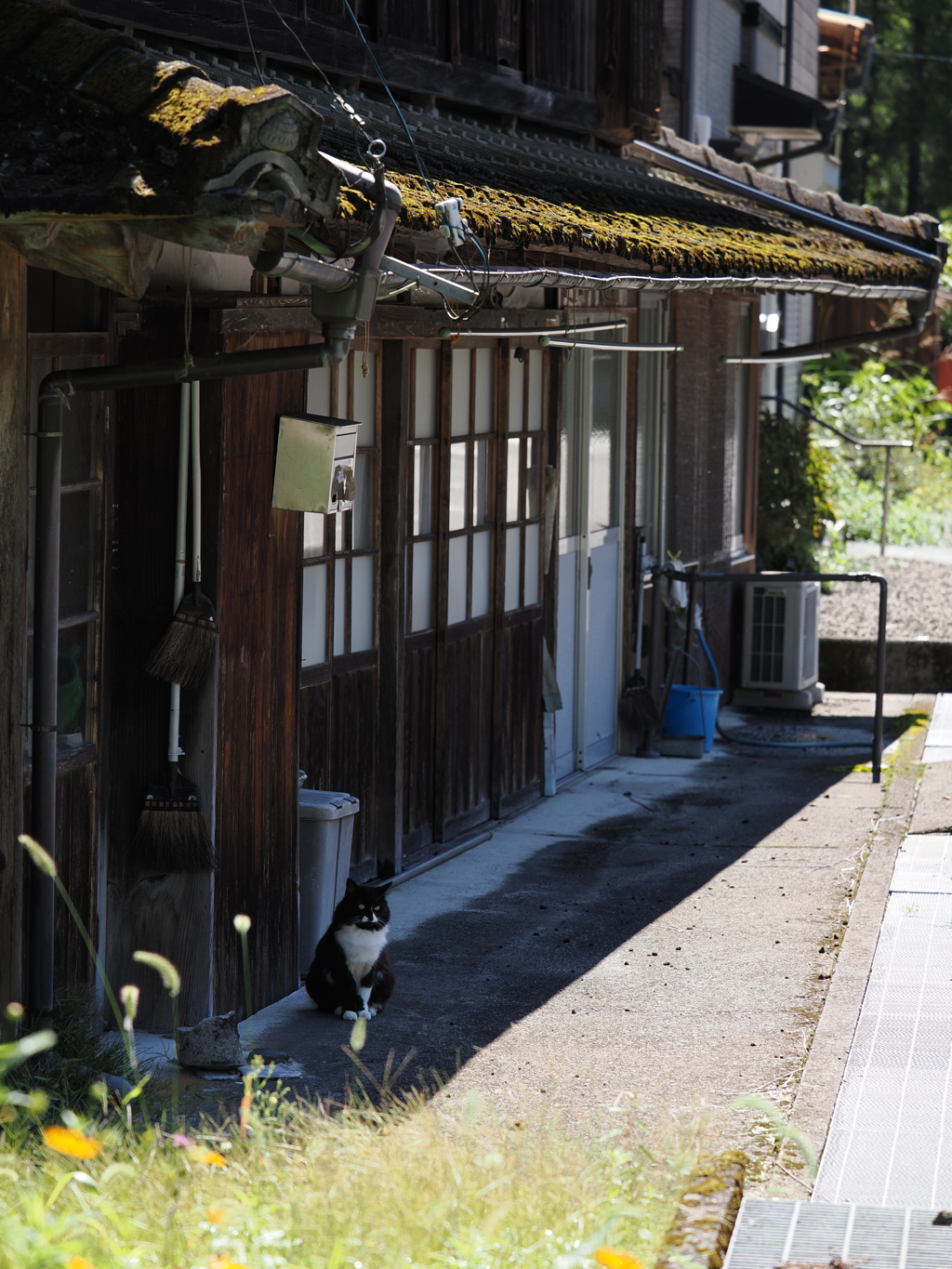 苔むす屋根の下で
