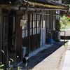 苔むす屋根の下で