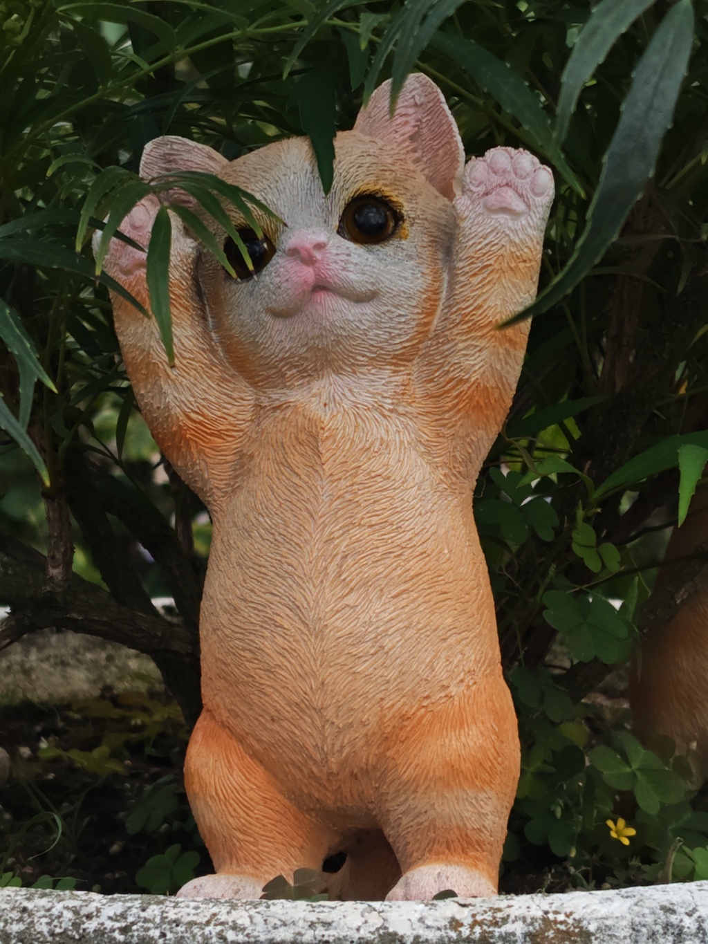 ネコ　バンザイ！