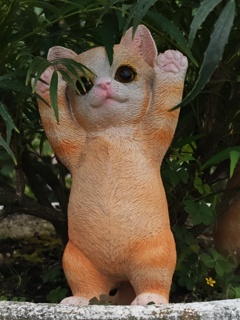 ネコ　バンザイ！