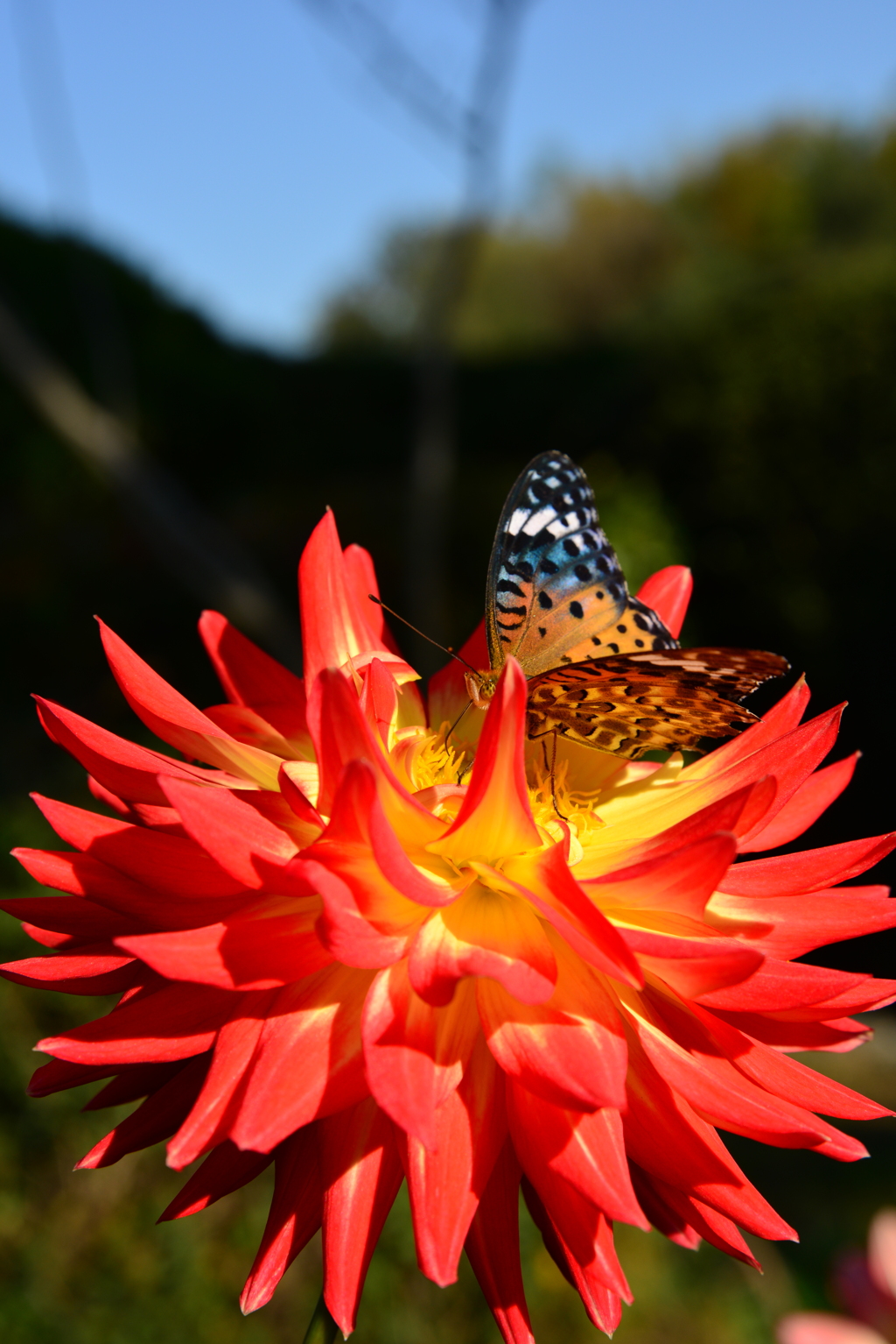 b550721c-c099-477b-8da5-3e636b1cd6e4-1_a