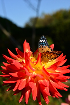 b550721c-c099-477b-8da5-3e636b1cd6e4-1_a