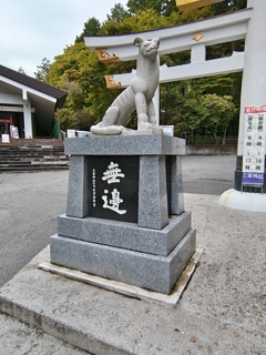 狛犬　1