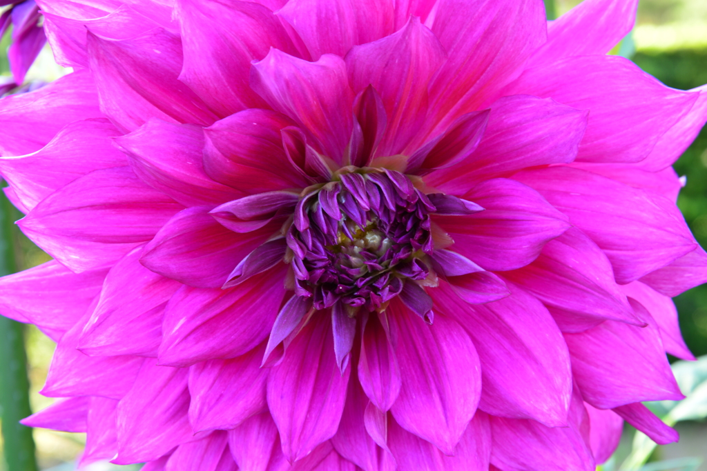 b550721c-c099-477b-8da5-3e636b1cd6e4-1_a