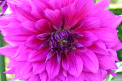 b550721c-c099-477b-8da5-3e636b1cd6e4-1_a