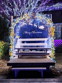 クリスマス　ベンチ