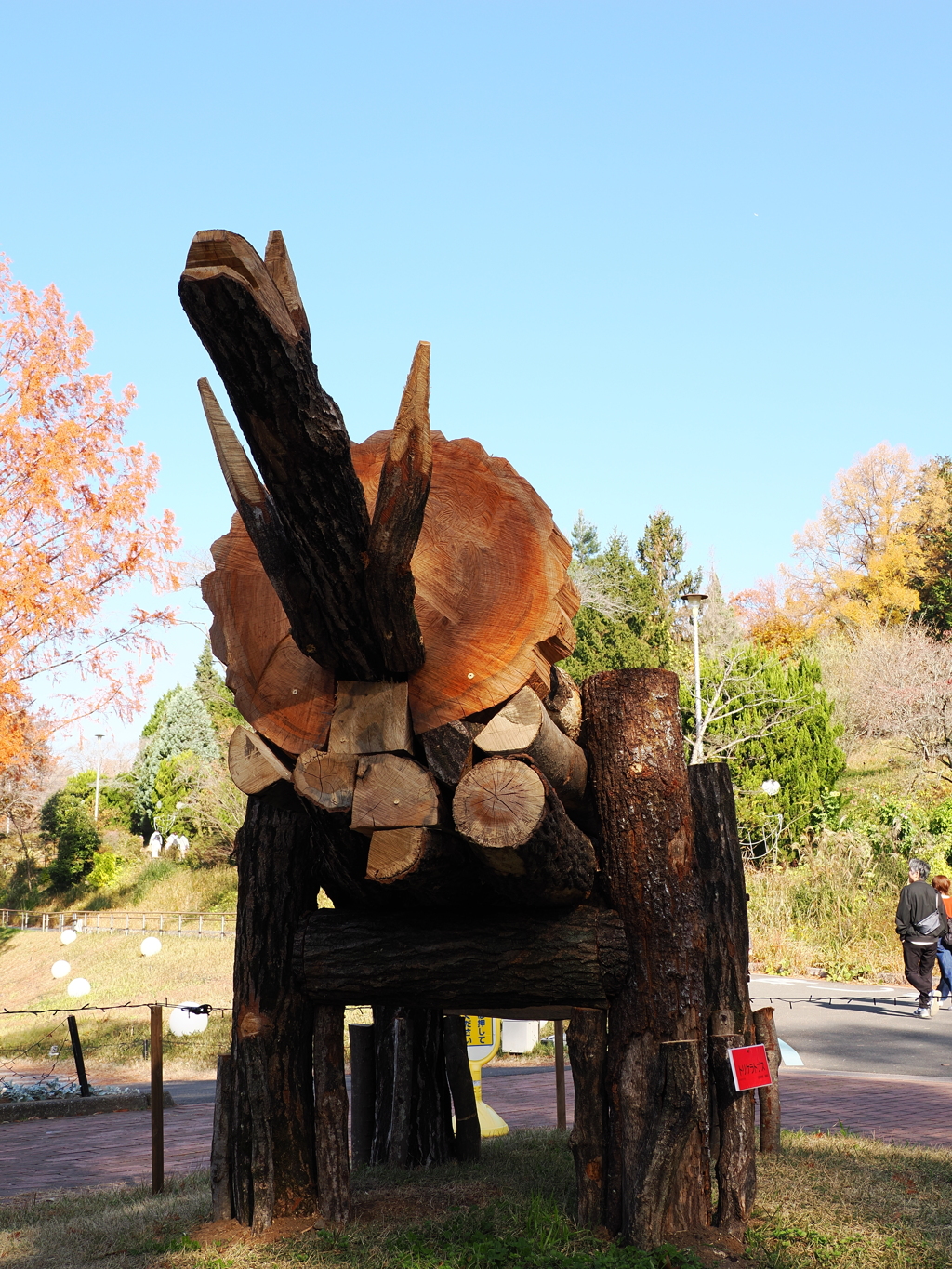 丸太恐竜　トリケラトプス