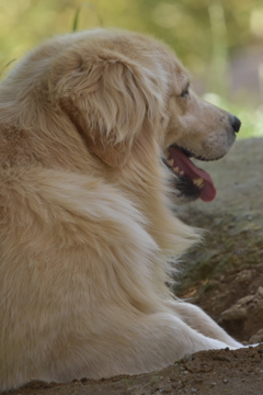 _DSC0810