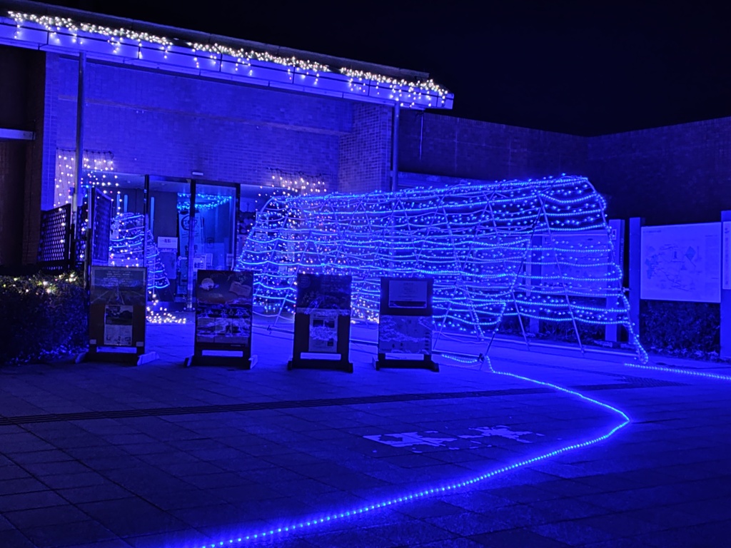 古代蓮の里　イルミネーション　2