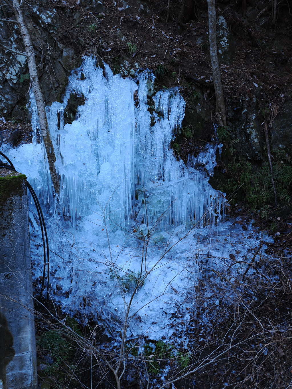 尾ノ内氷柱　4