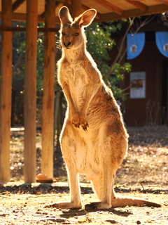 いつでも戦えられますよ