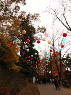 バルーンロード