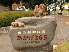 サルのモニュメント