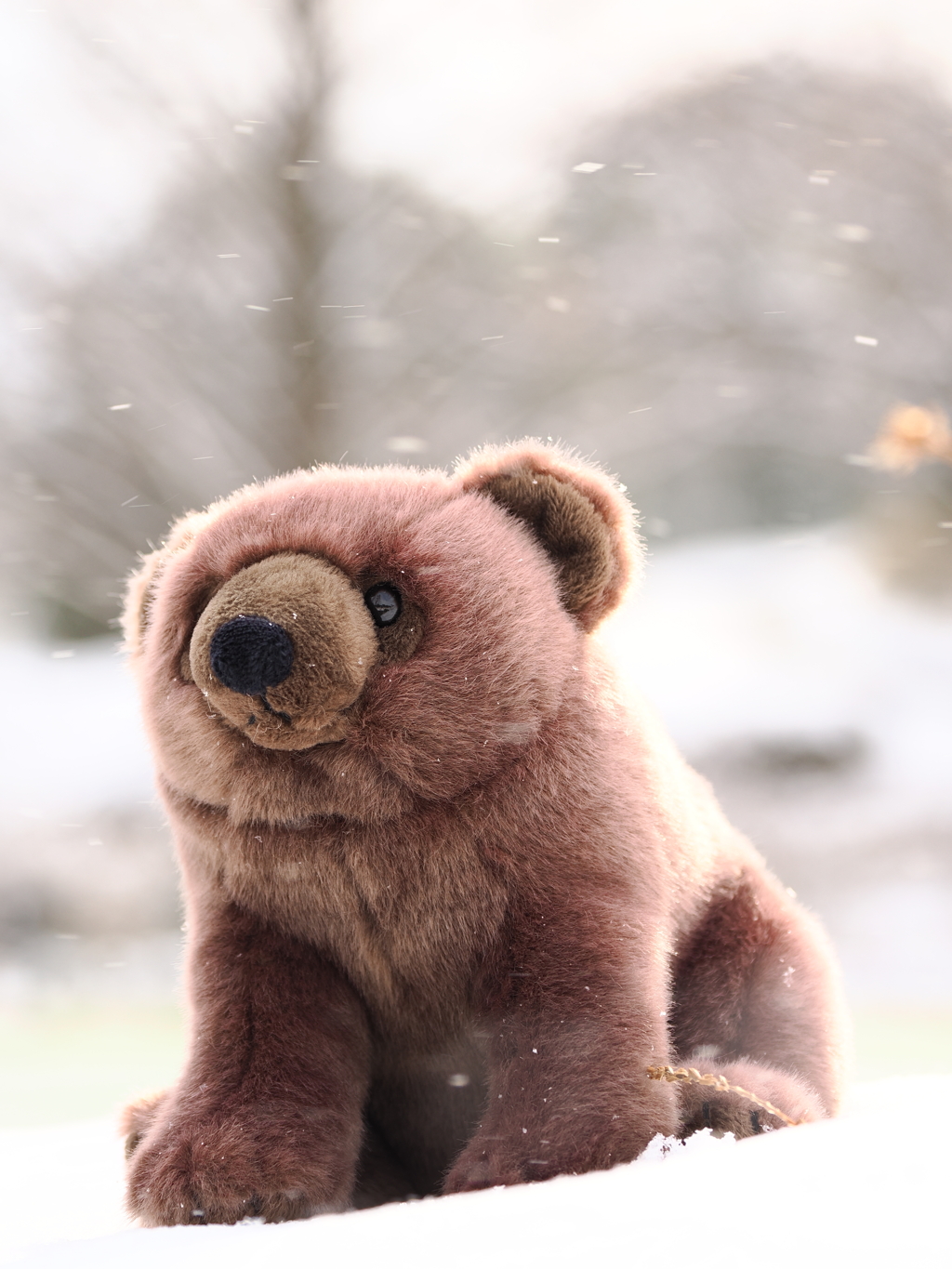 ぬいぐるみスナップ　クマ 3