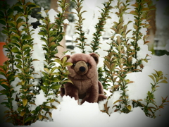 ぬいぐるみスナップ　クマ