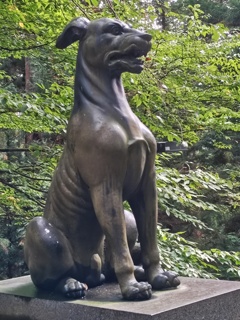 本殿前の　狛犬