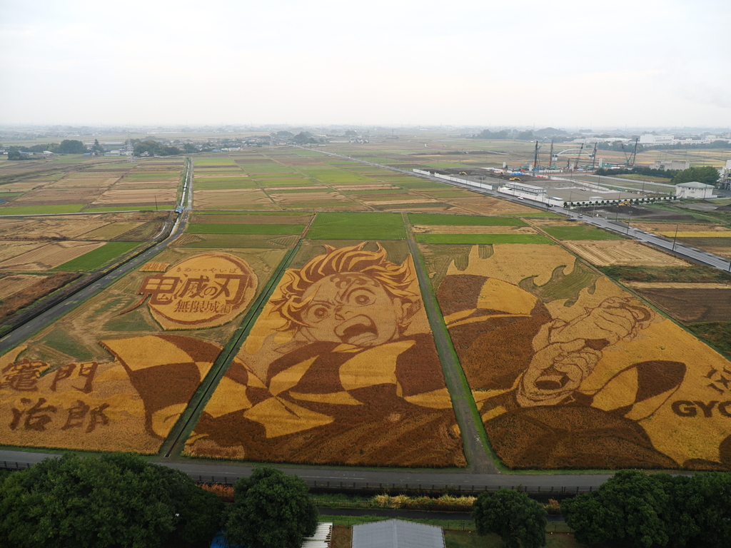 田んぼアート　行田市