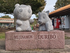 ムジナもん　ドゥリボー