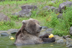 食事中