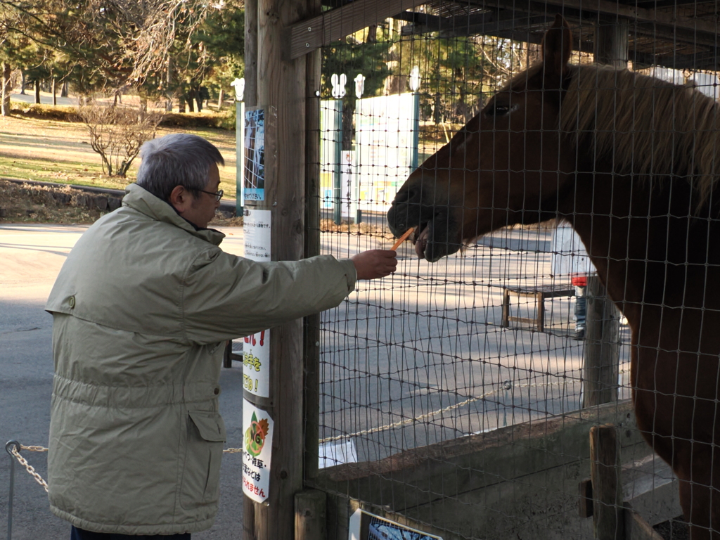 馬にニンジンあげた自分(本人です)