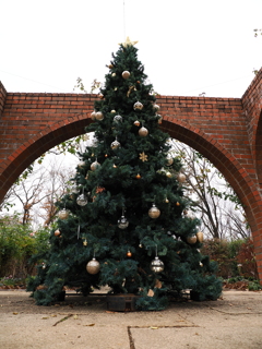 クリスマスツリー