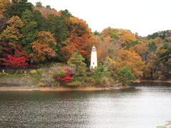 遠くから見た灯台