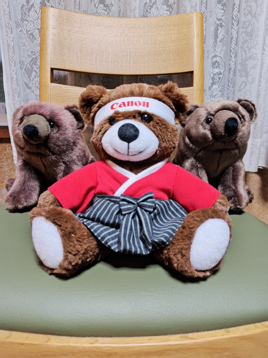 自分の部屋に生息するクマ