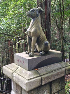 本殿前　狛犬1