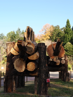 丸太恐竜　ステゴサウルスとトリケラトプス