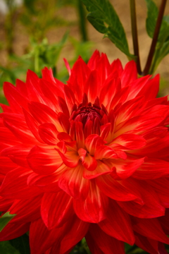 b550721c-c099-477b-8da5-3e636b1cd6e4-1_a