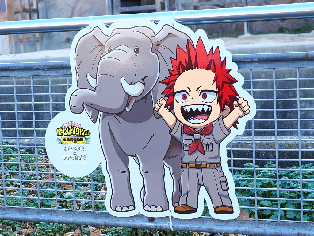 キャラクターコラボ　ゾウ