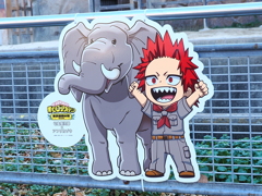 キャラクターコラボ ゾウ