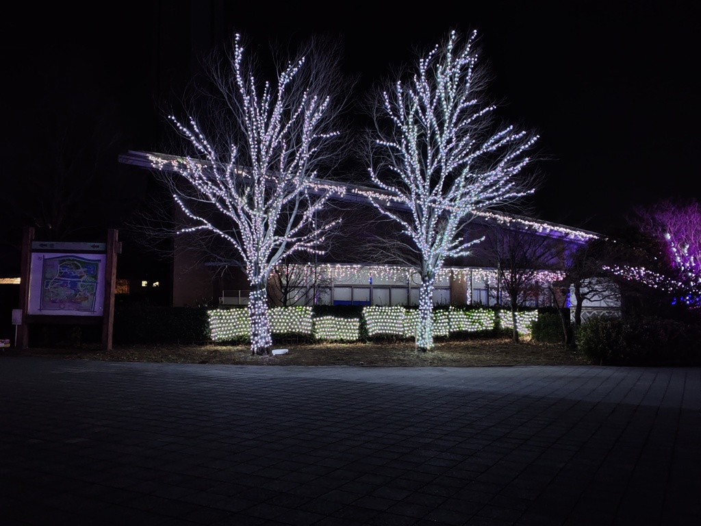 古代蓮の里　イルミネーション　1