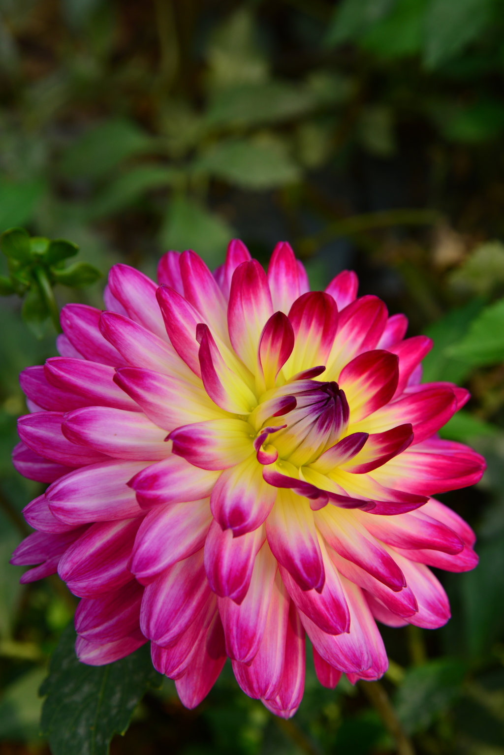 b550721c-c099-477b-8da5-3e636b1cd6e4-1_a