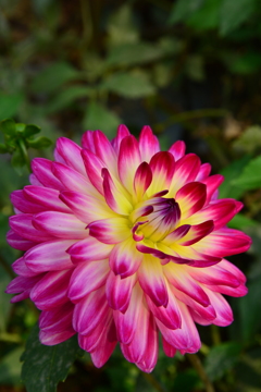 b550721c-c099-477b-8da5-3e636b1cd6e4-1_a