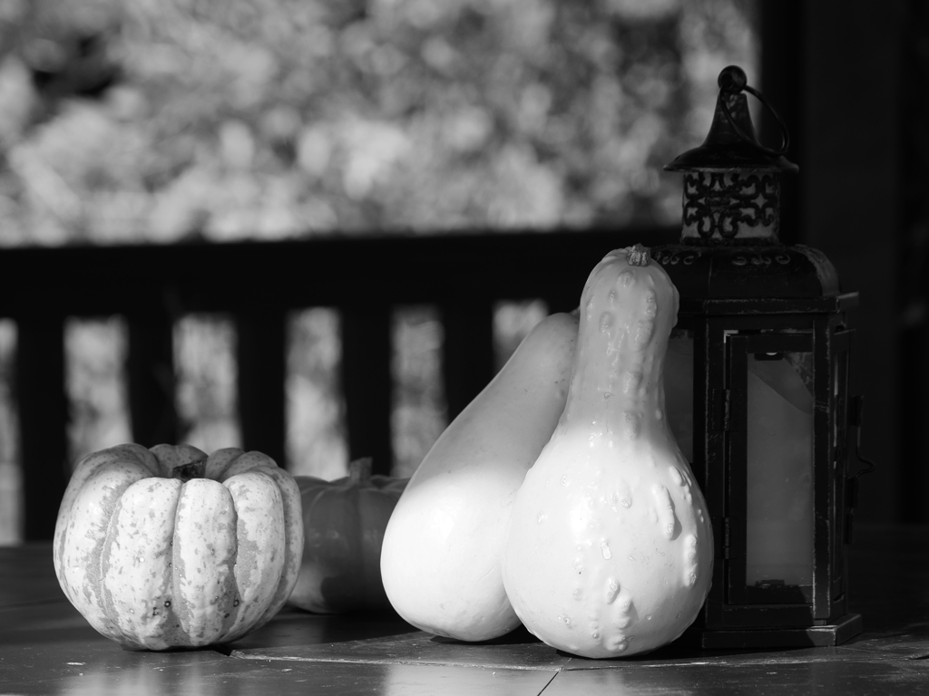 カボチャとランタン