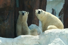 2ショット