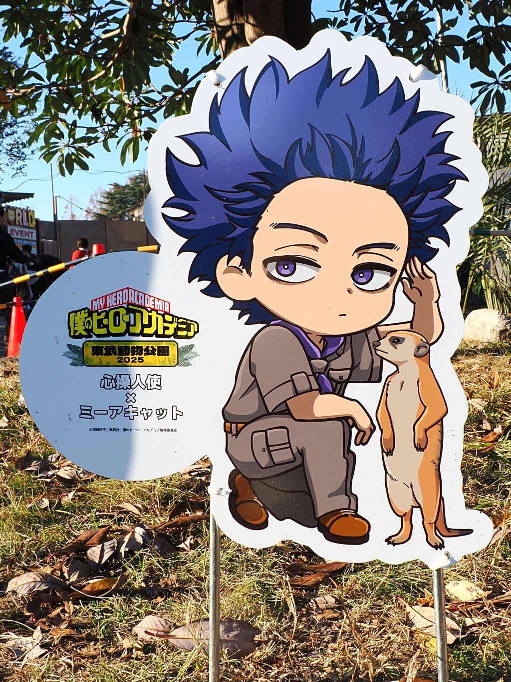 キャラクターコラボ　ミーアキャット