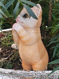 ネコのお願いします